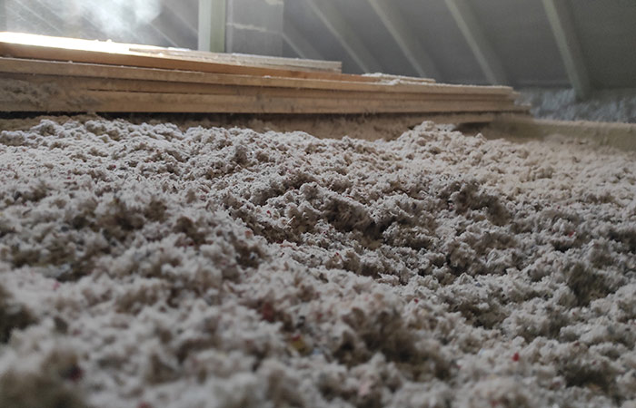 Celuloza Tomaszów Mazowiecki